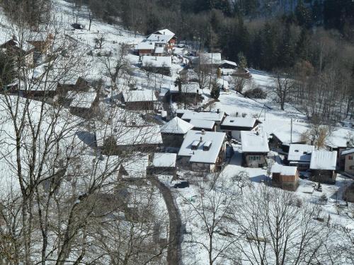  La Petite Grange in Villars-sur-Ollon