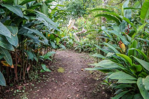 Hotel Faro Arenal Lodge La Fortuna In Costa Rica - 