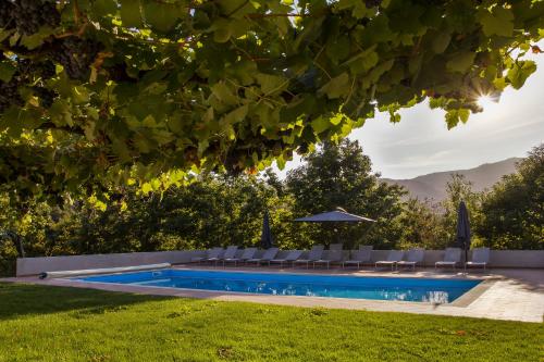 Casa do Carvalho - Ponte de Lima Casa do Carvalho - Ponte de Lima