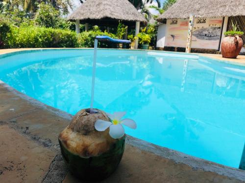 Uitzicht, Villa Madinina in Mombassa