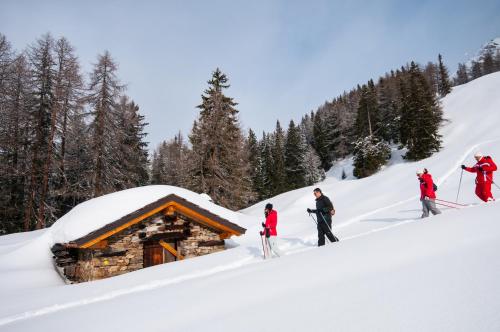 Maison Glarey Courmayeur 0023 - Apartment - Courmayeur