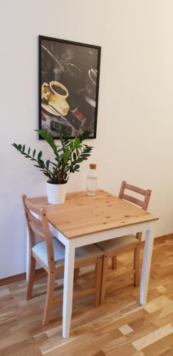 Apartment Lenartowicza