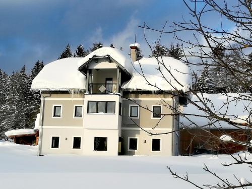  Haus Krawetter - Familie Eder, Ferienwohnung in Bad Mitterndorf