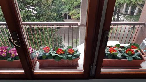 B&B Xenia - Fiume Veneto