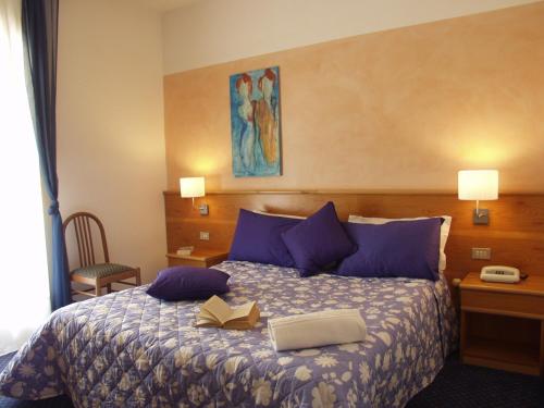 Hotel Marina in Torri del Benaco