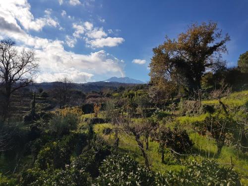 Design Villa in Piedimonte Etneo