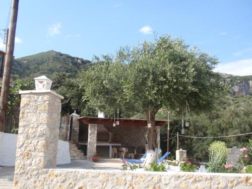 Korina Studios 4