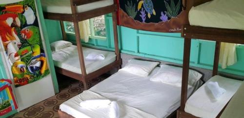 Life for Life Hostel Drake Bay Home of Sea Turtle Marine Conservation Project Osa Peninsula near San