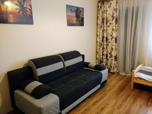 1 twin bed, 1 sofa bed