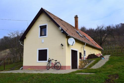  Kék nefelejcs, Tapolca bei Lesencefalu