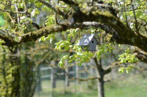 Accommodation in La Chapelle-de-Bragny