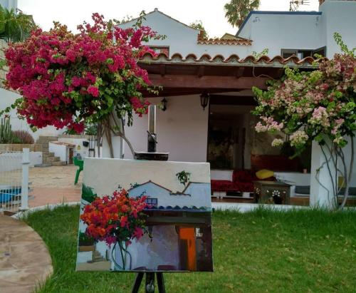La Tortuga Hostel in Tenerife