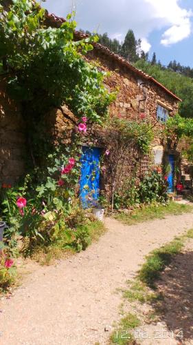  Cottage Vivenda Festina Lente, Unterkunft in Figueiró dos Vinhos