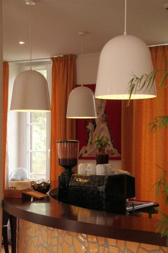 Bar/lounge, Hotel La Beauze in Aubusson