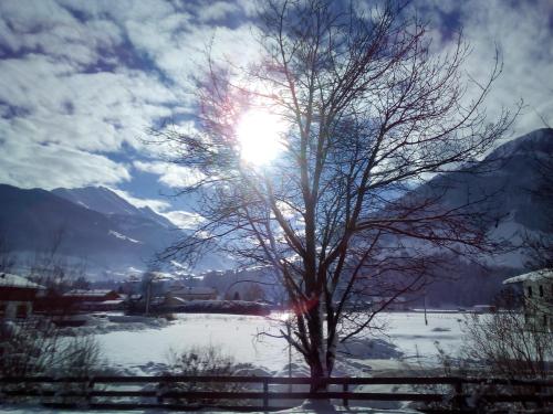 Hotel Wieser - image 11