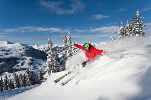 Ski in Ski out Hotel Unterellmau - image 8