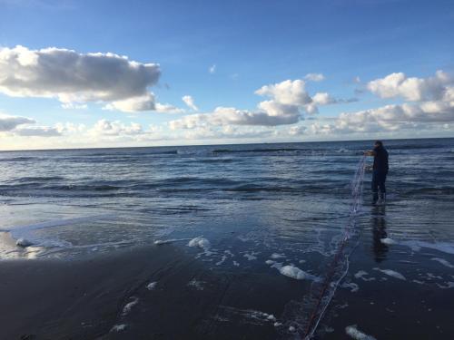  Zeevanlicht in Hollum