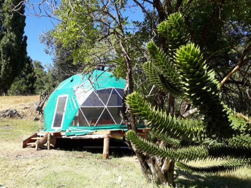 El Cipresal - Domo Fiofio - San Martin De Los Andes El Cipresal - Domo Fiofio - San Martin De Los Andes