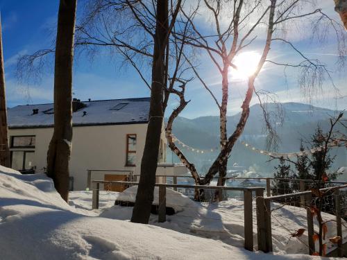 Apartamenty Willowa