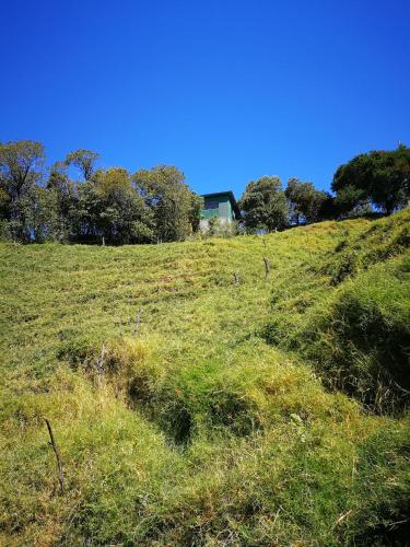 Monteverde Monte Green