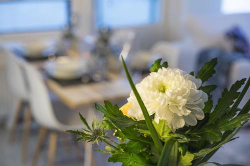 Tuomas´ luxurious suites, Livo - Apartment - Rovaniemi
