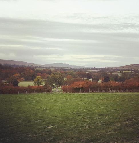 Wensleydale Glamping Pods