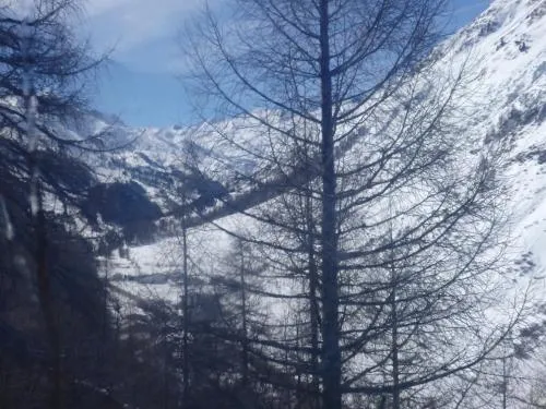 Pension Kupfer in Wenns, Österreich