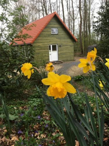Ferienhof Ohlenbusch in Worpswede, Deutschland