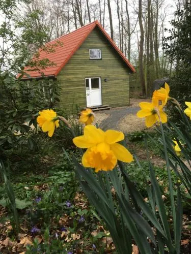 Ferienhof Ohlenbusch in Worpswede, Deutschland