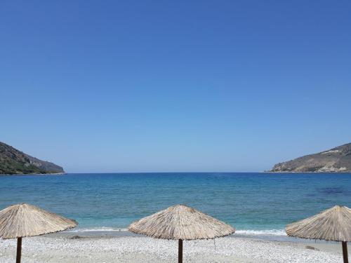 Elezar - image 12