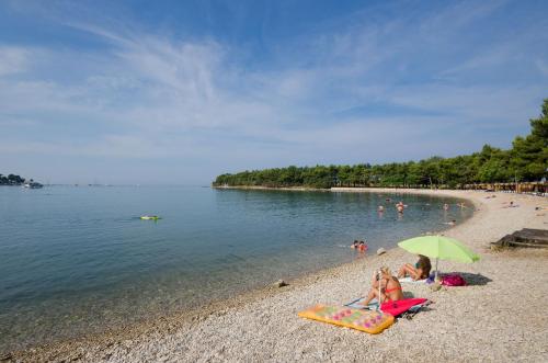  Apartments Hilmija in Novigrad