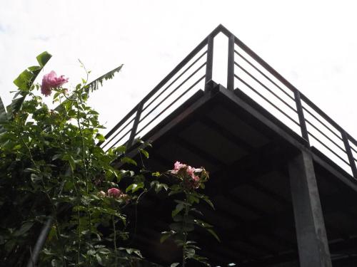 Garden, Bann Rai Klai Weang Homestay near Kanta Elephant Sanctuary