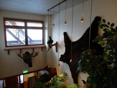 Botnia Hotel & Restaurant - image 3