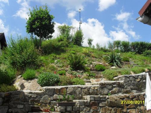 Domeček u Terčina Údolí - image 5