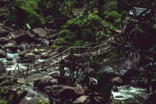 hotel tin tin bijanbari