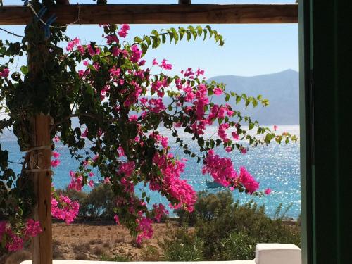 Apollon Koufonisia Studios - image 12