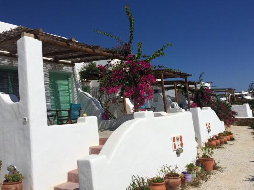  Apollon Koufonisia Studios in Koufonisia