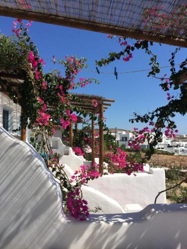  Apollon Koufonisia Studios in Koufonisia