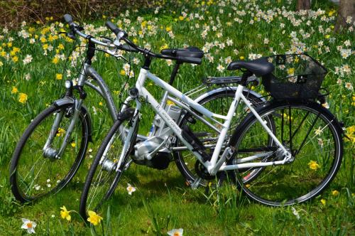 Romantik ROEWERS Privathotel - image 13