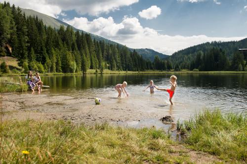  Ludlalm am Prebersee in Tamsweg