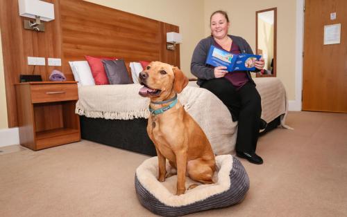 Double or Twin Room - Dog Friendly