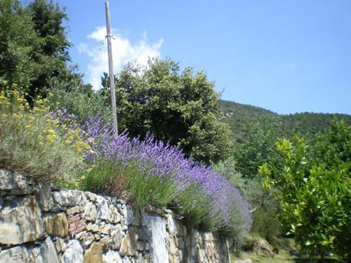 Cottage La Torre del Pittore