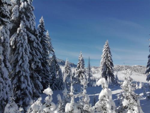 Lodge Nadgora - image 11