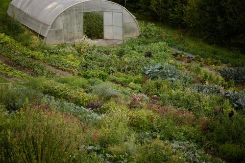  Bio Felderhof in Uttenheim