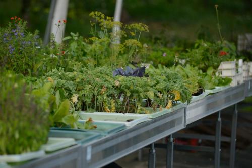  Bio Felderhof in Uttenheim