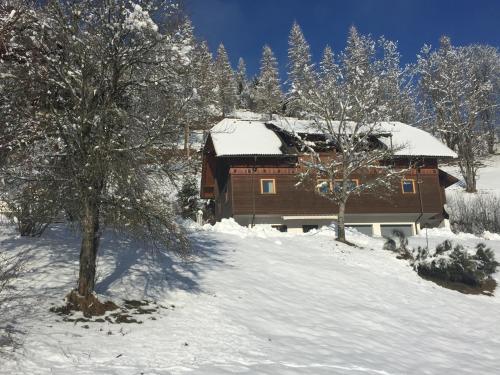  Appartement VIDMAR-WINTERTRAUM in Arriach