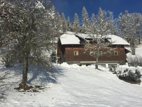 Appartement VIDMAR-WINTERTRAUM in Arriach, Österreich