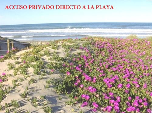 Residencial OlivalAcceso privado a la playa por el jardínZona tranquila - main image