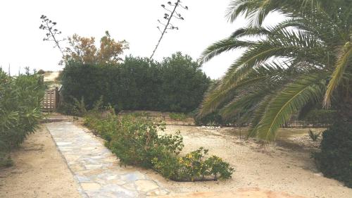 Residencial OlivalAcceso privado a la playa por el jardínZona tranquila - image 2