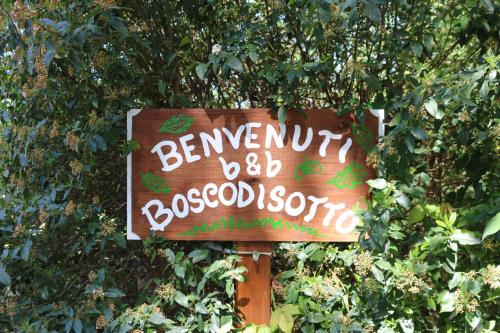 Boscodisotto, Rapolano Terme (foto 4)